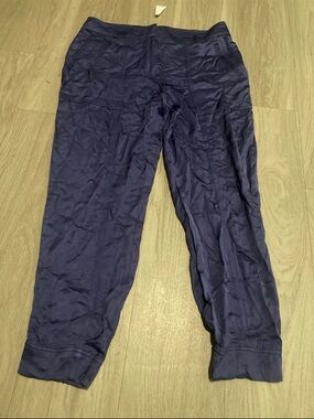 LOFT Navy Cropped Pants